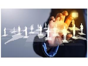 LOGISTICS CONSULTANCY